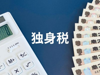【2026年最新】「独身税」とは？本当にある？子ども・子育て支援金との違いを解説 | 派遣の基礎知識
